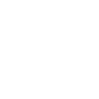 Chat Icon close